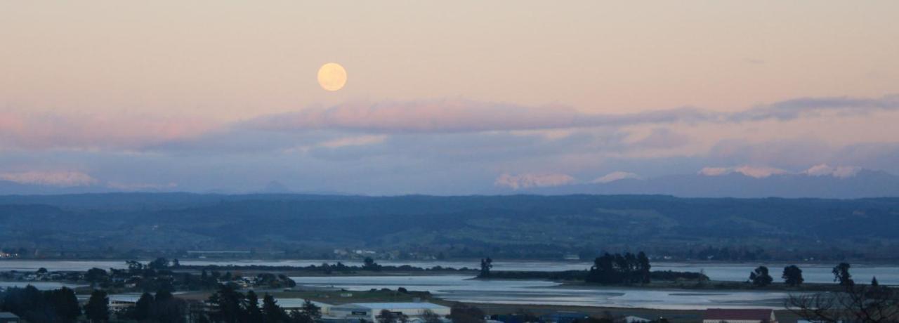 Tahuna Hills Guesthouse Nelson Esterno foto
